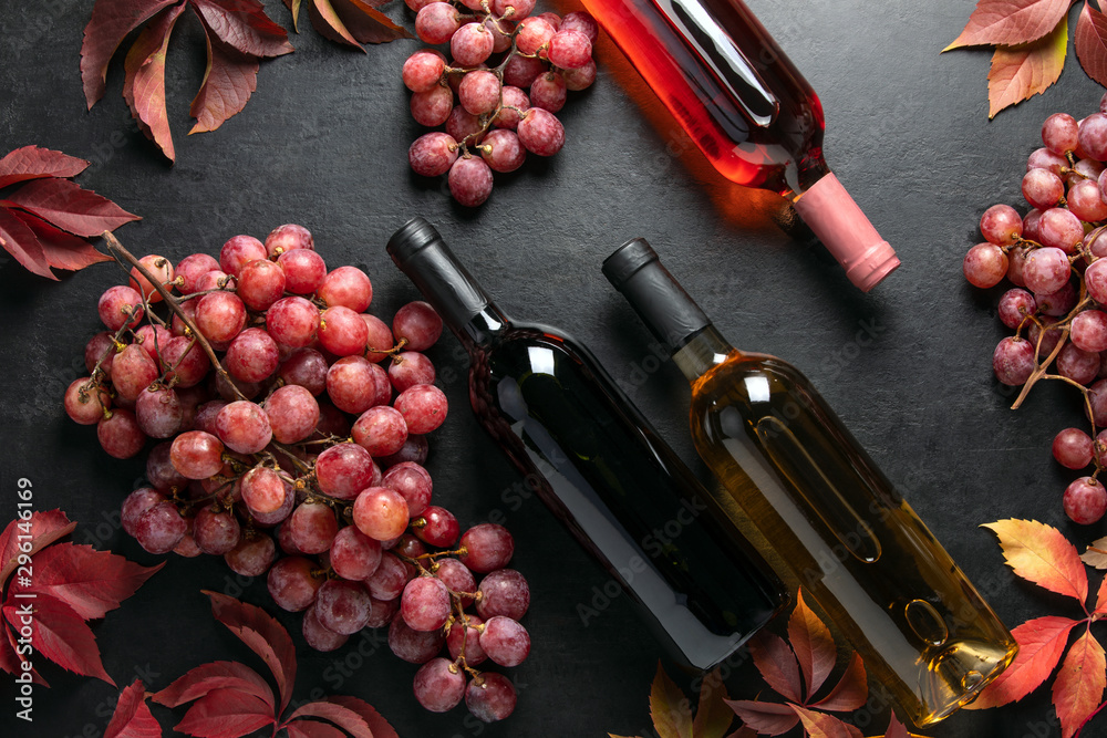 Accueil – Ovitis, distributeur de vins